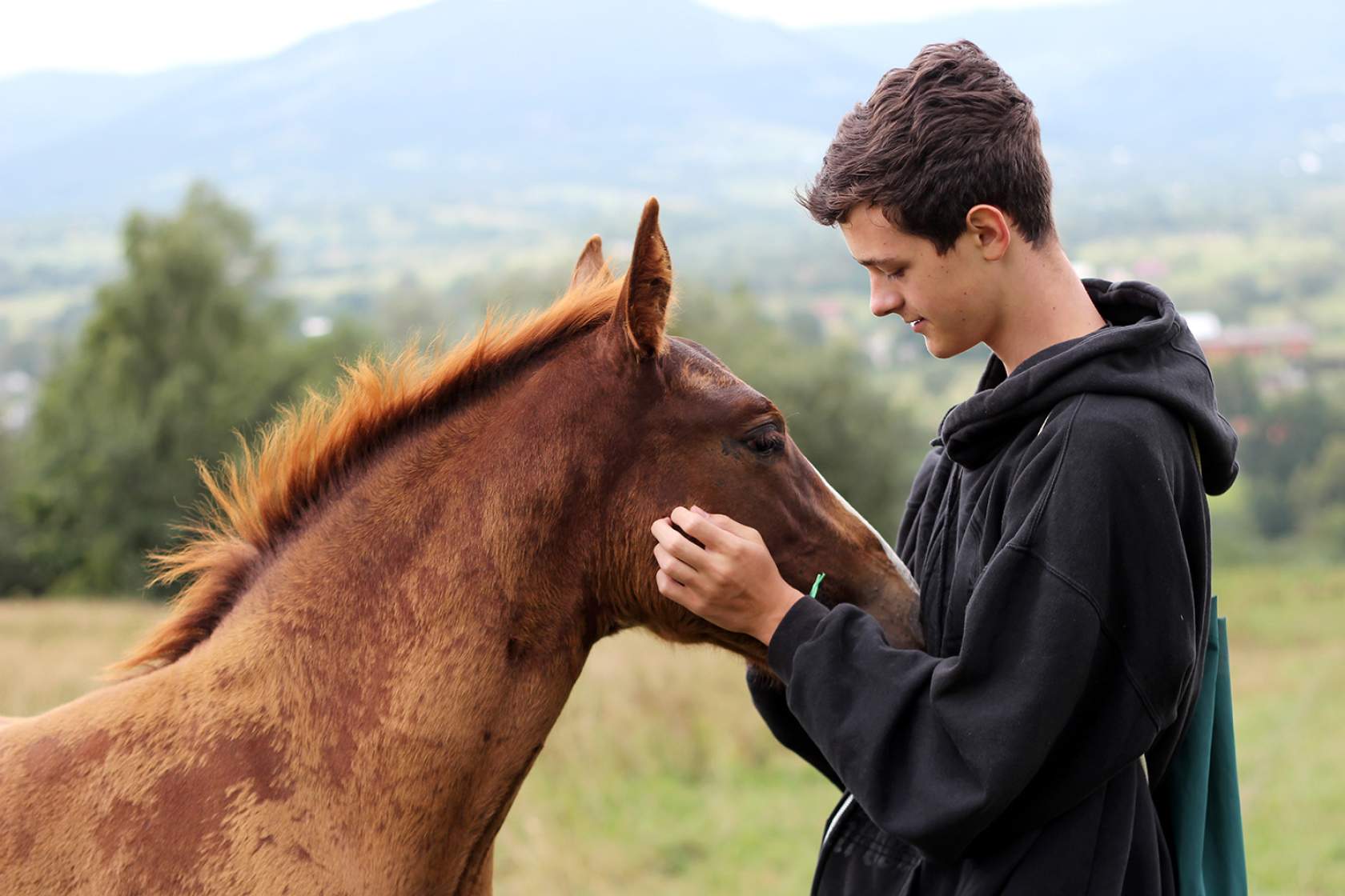 The Horse Rug Whisperer